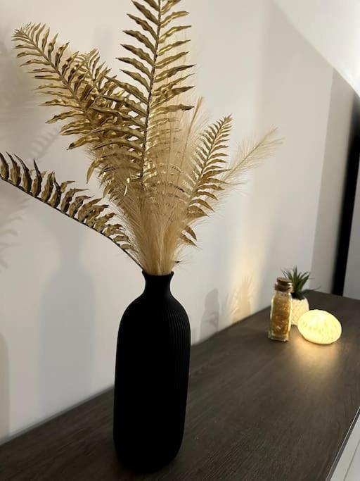 5 Min Des Plages - Appt 2 Chambres A Casa Bella ลูเชียนา ภายนอก รูปภาพ